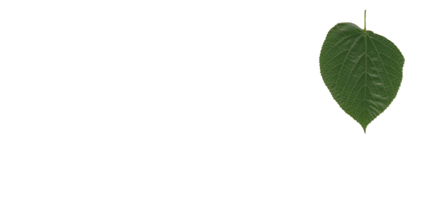 logotype