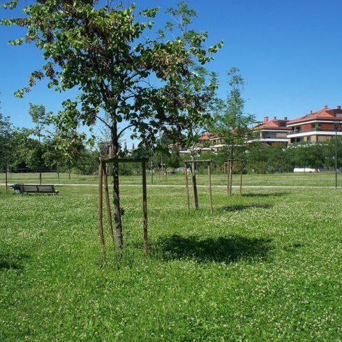 Il Progetto del Parco | Associazione Parco Segantini Onlus