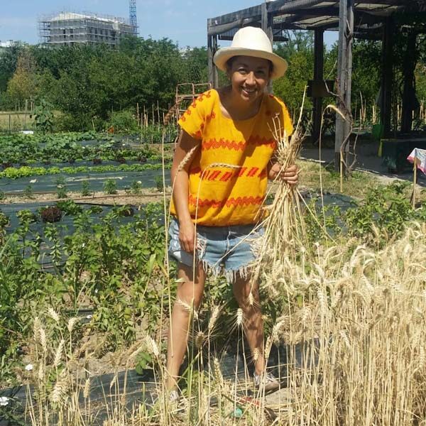 grano | Associazione Parco Segantini Onlus