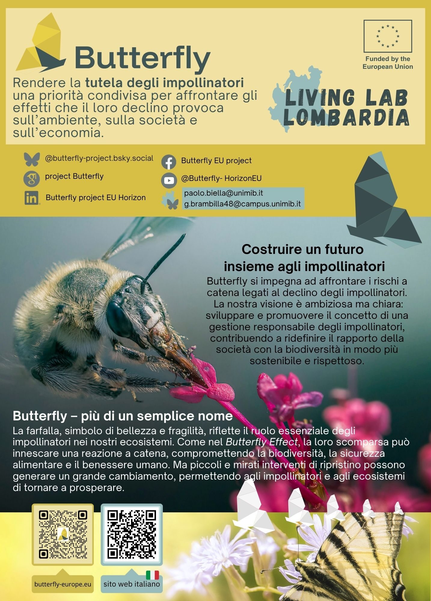 Volantino Butterfly.jpg (1)