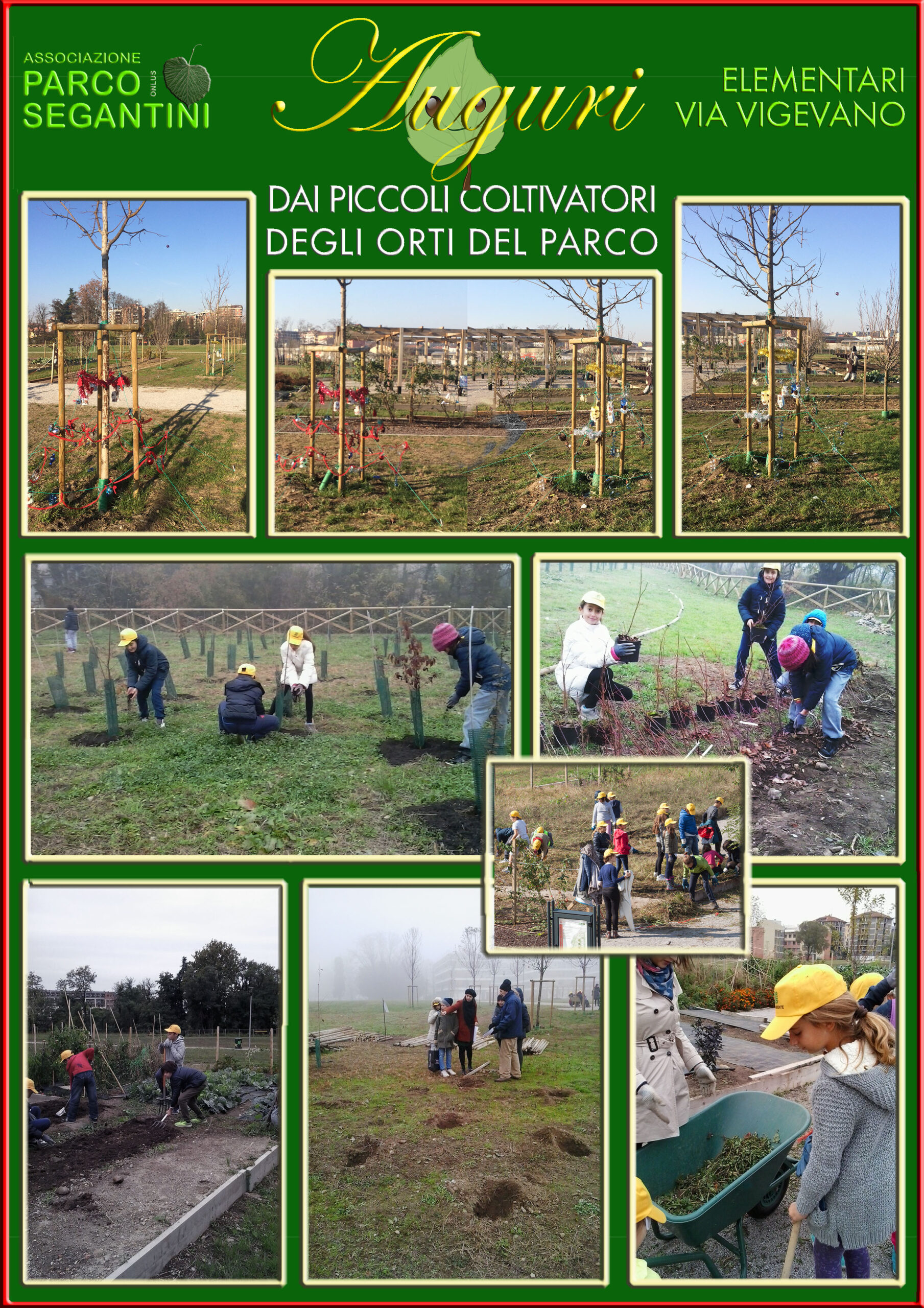 alunni vigevano orti e xmastree 2015 A4