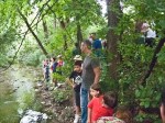 APS 140525 barchette 1600lr