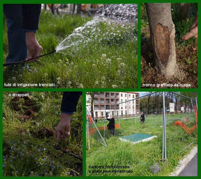 APS danni prunus 2221_2228lr