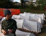Cinque prose coperte da tunnes in tnt