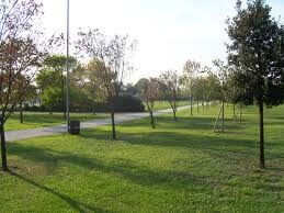 Area Riservata | Associazione Parco Segantini Onlus