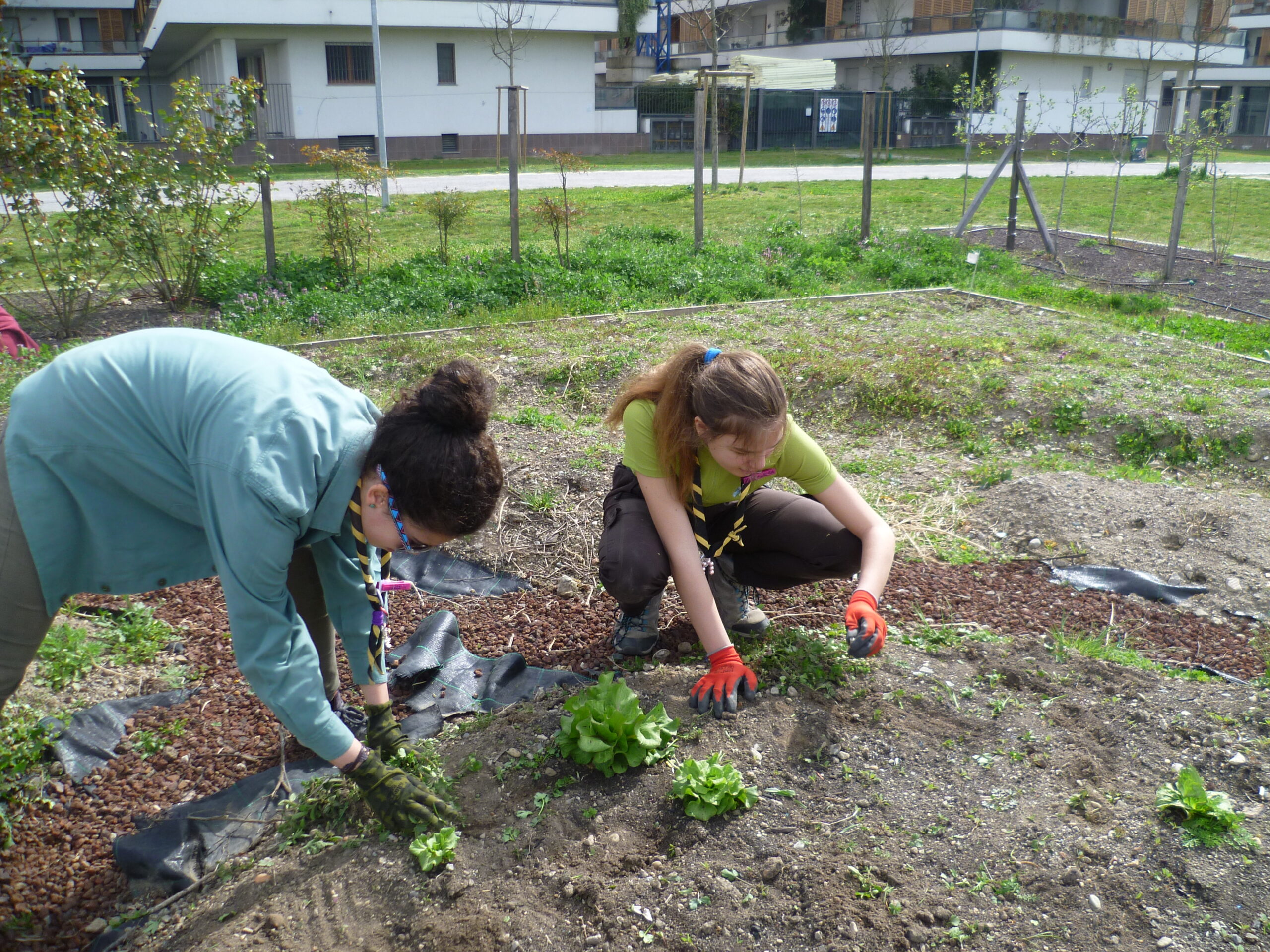 Fabri e Mariele