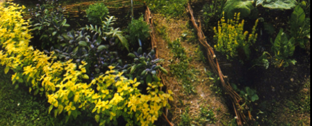 giardino-edibile_640x260
