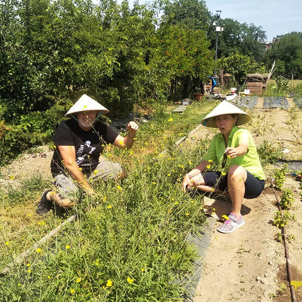 lavoro in campo | Associazione Parco Segantini Onlus