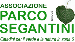 logoonlus
