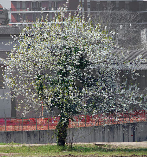 Schermata 2014-04-09 alle 11.29.00
