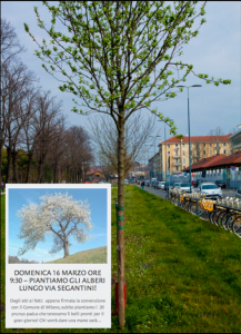 A proposito di prunus: in occasione del loro primo compleanno hanno ricominciato a verdeggiare e domenica mattina li accudiremo