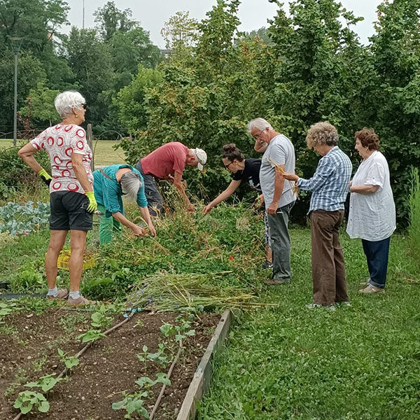 Diventa Socio | Associazione Parco Segantini Onlus