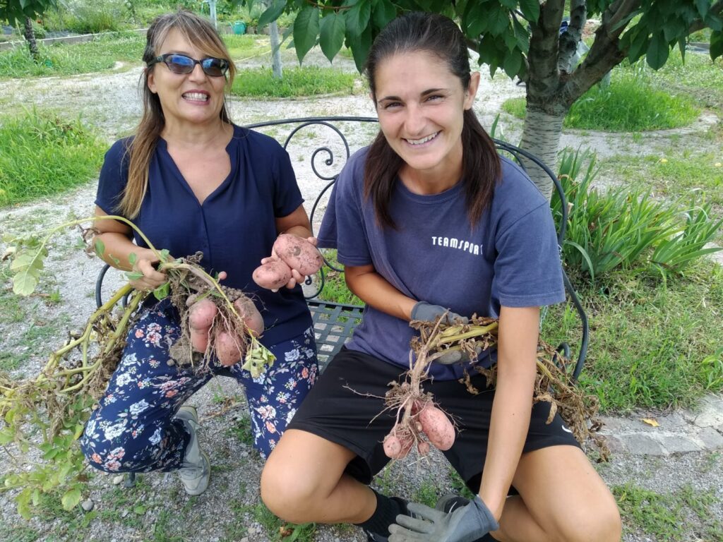socie con patate | Associazione Parco Segantini Onlus