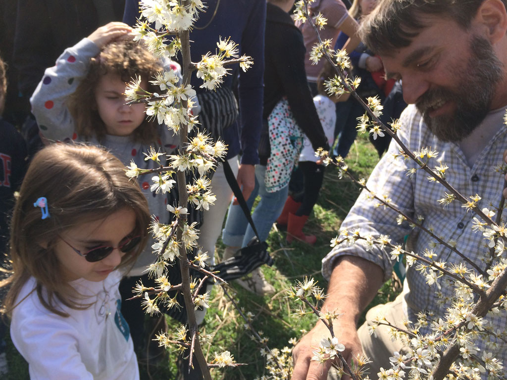 Apprendimento - Associazione Parco Segantini Milano